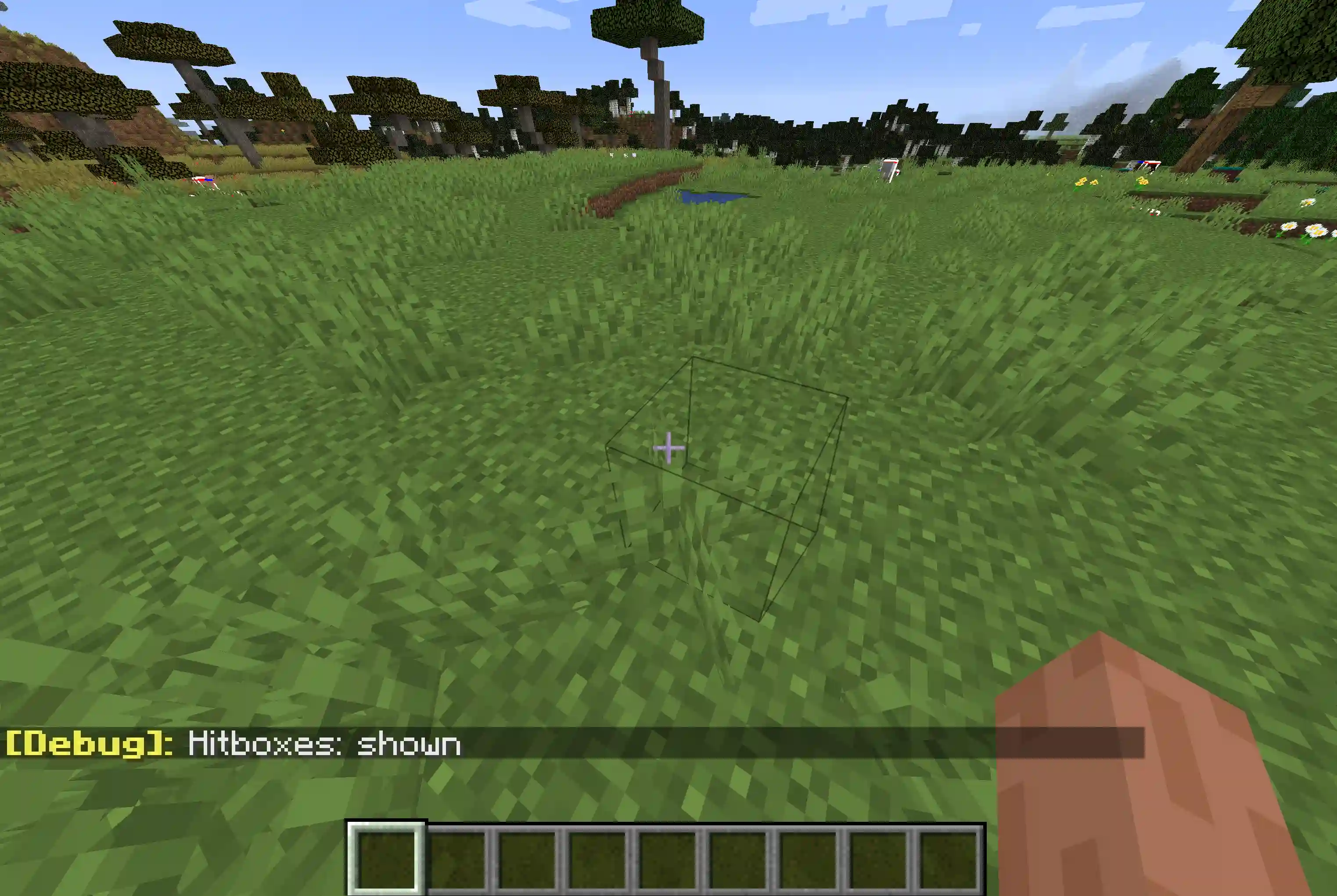 How to show hitboxes in Minecraft