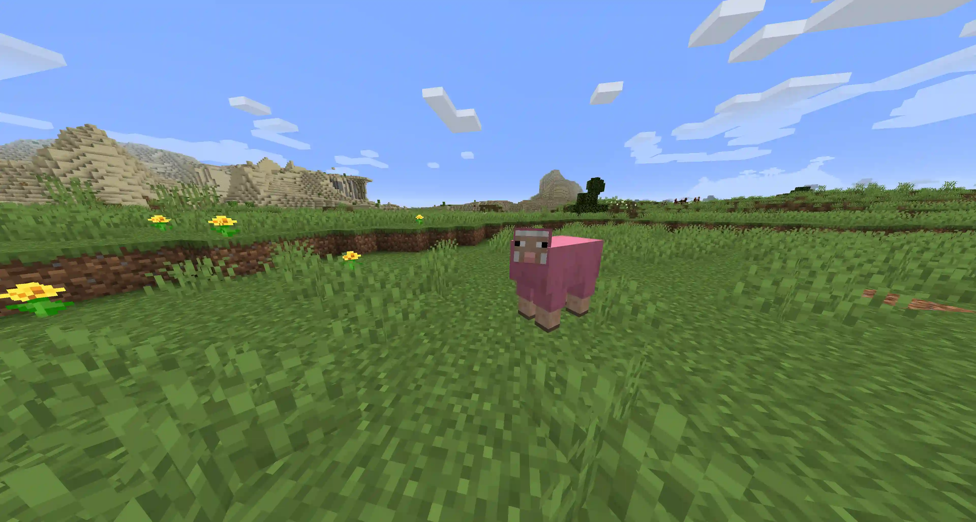 How rare is a pink sheep in Minecraft?