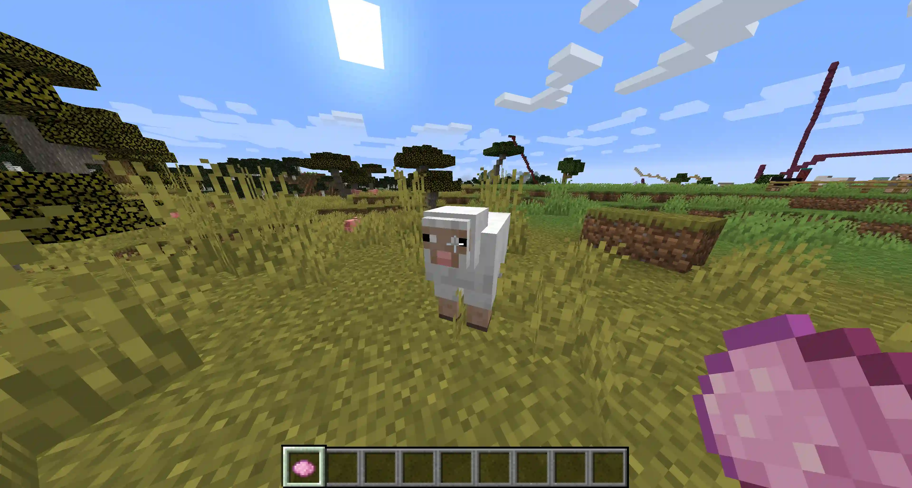 How rare is a pink sheep in Minecraft?