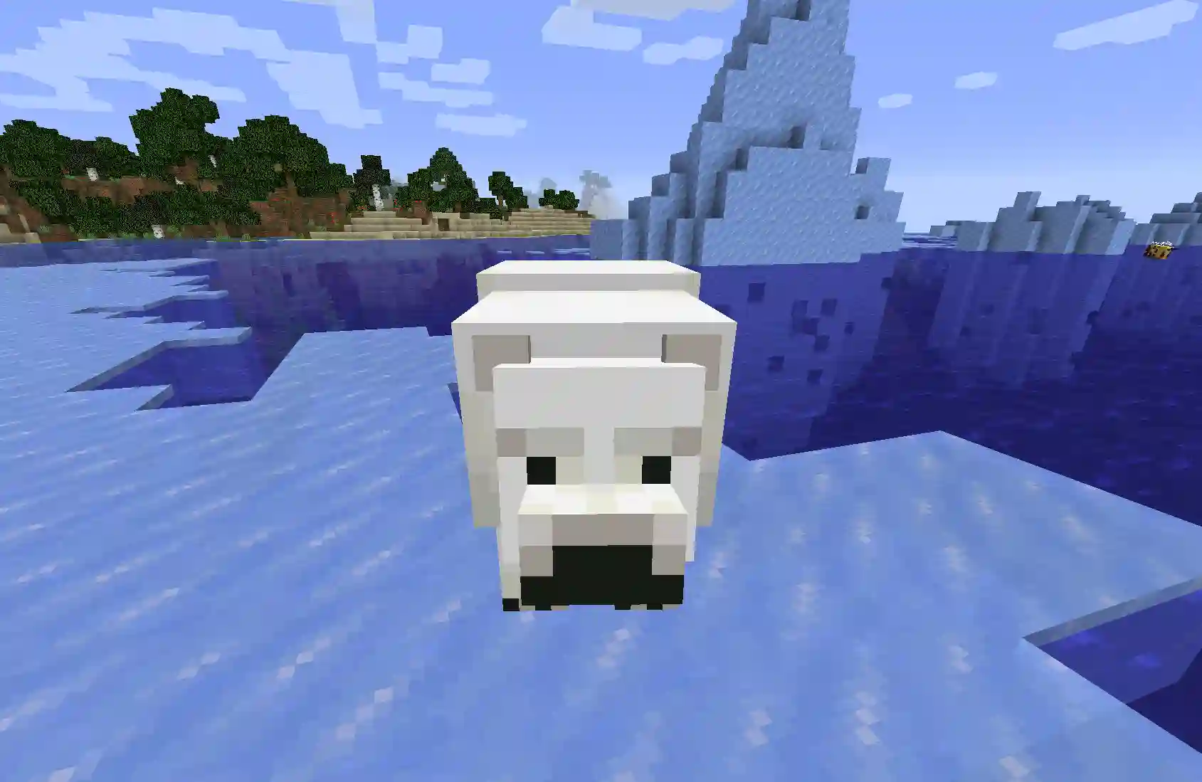 How to tame a polar bear in Minecraft