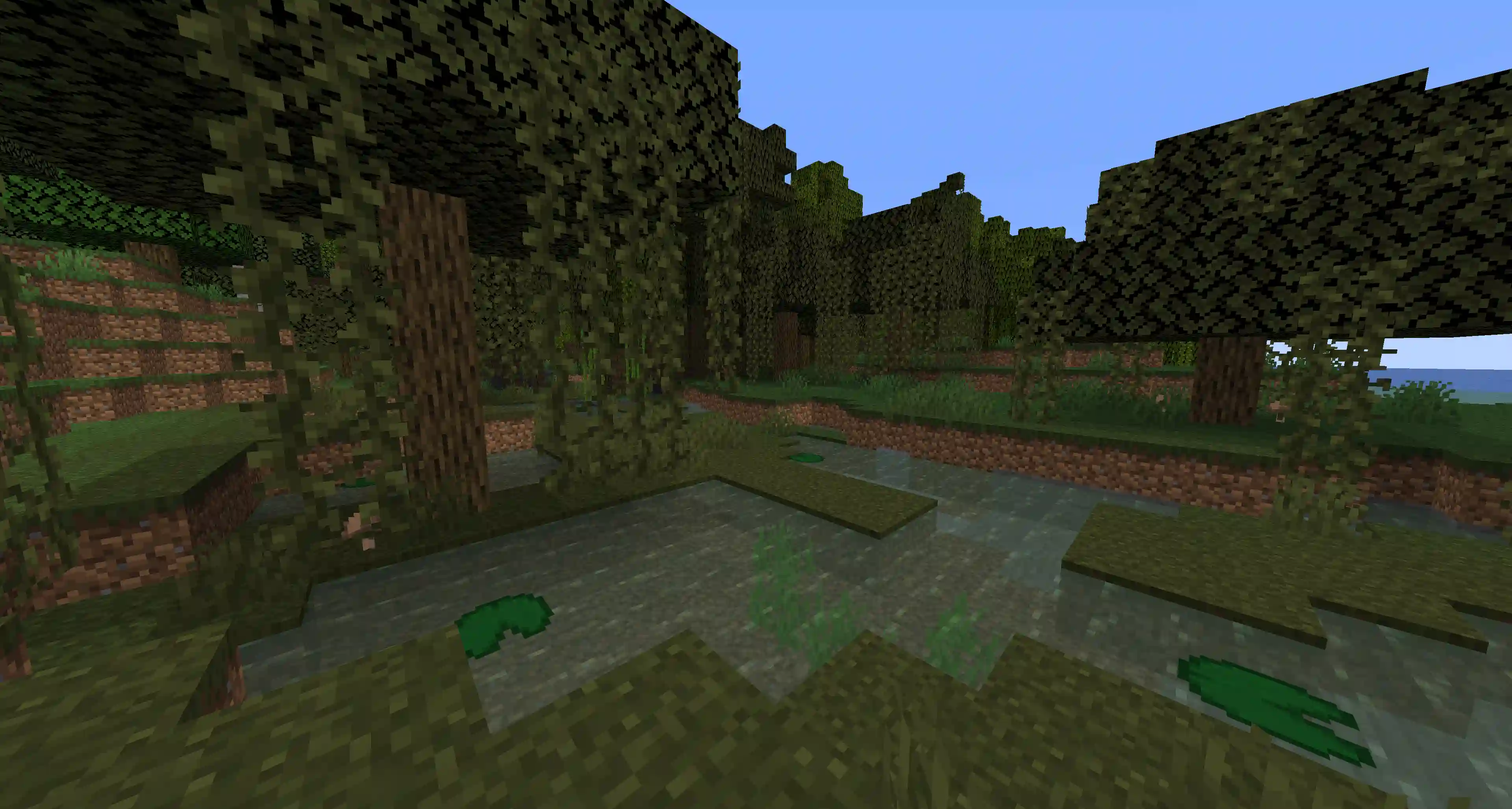 Finding a swamp in Minecraft