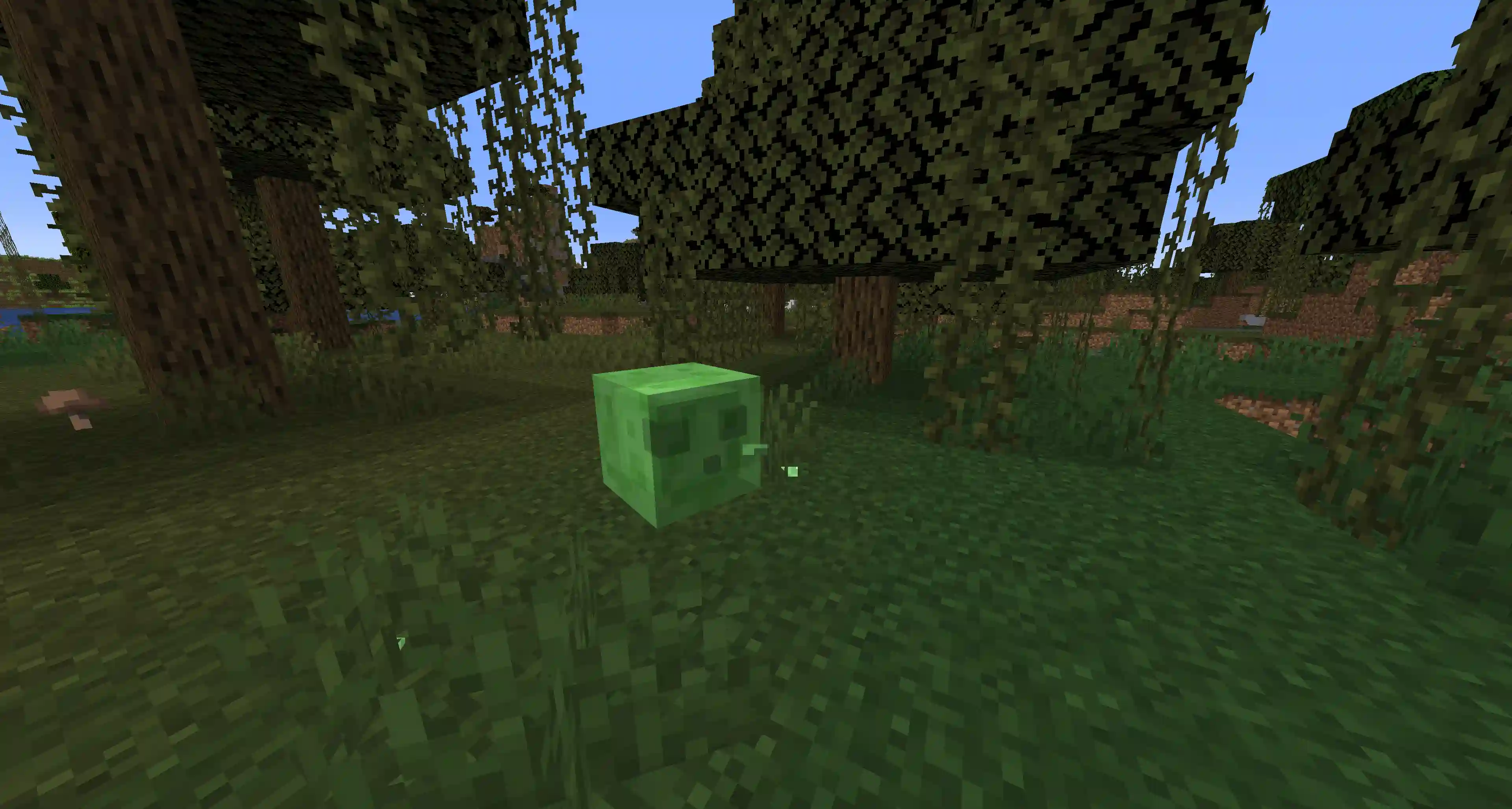 How to find a Minecraft swamp