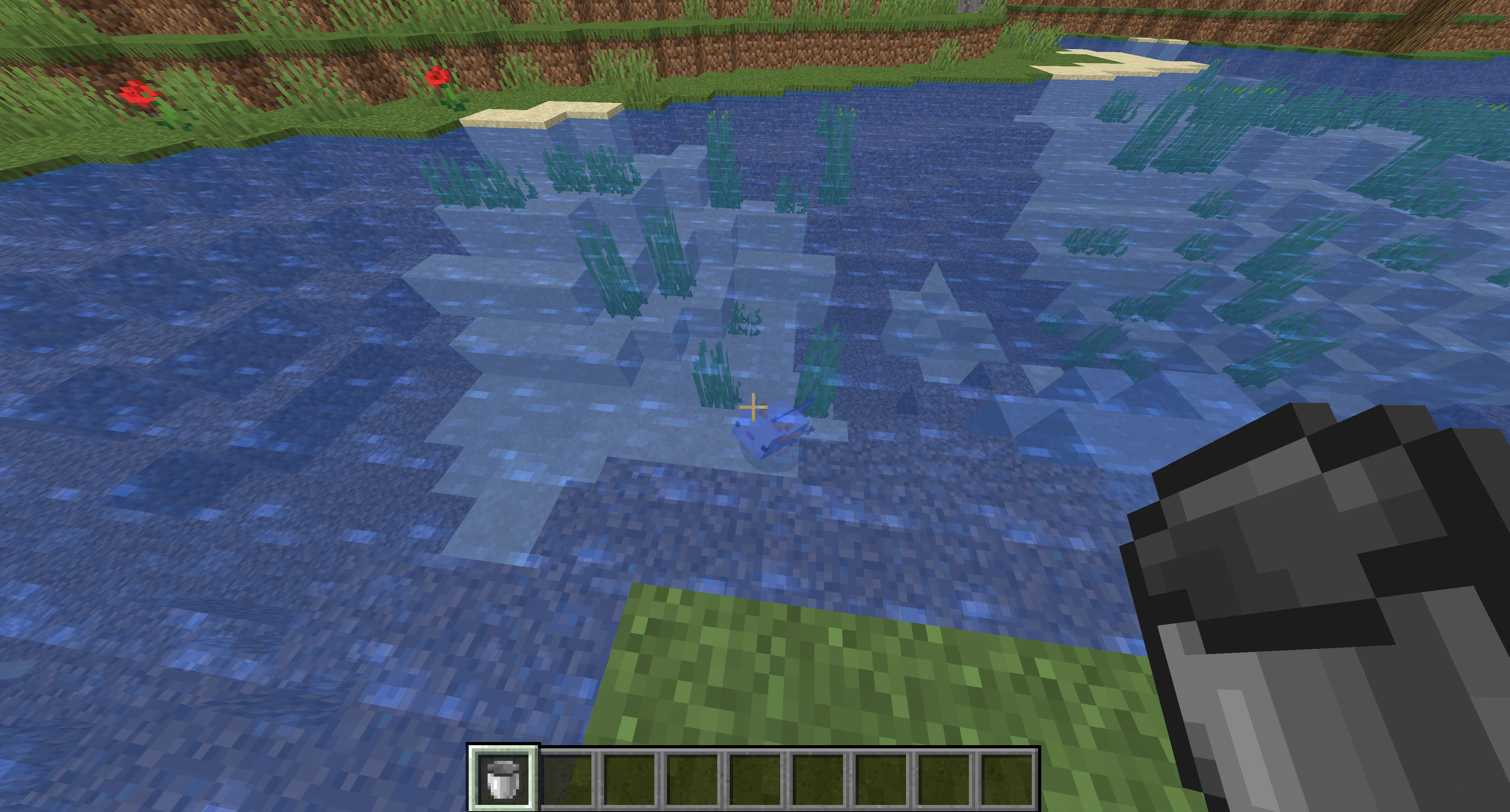 Minecraft Blue Axolotl