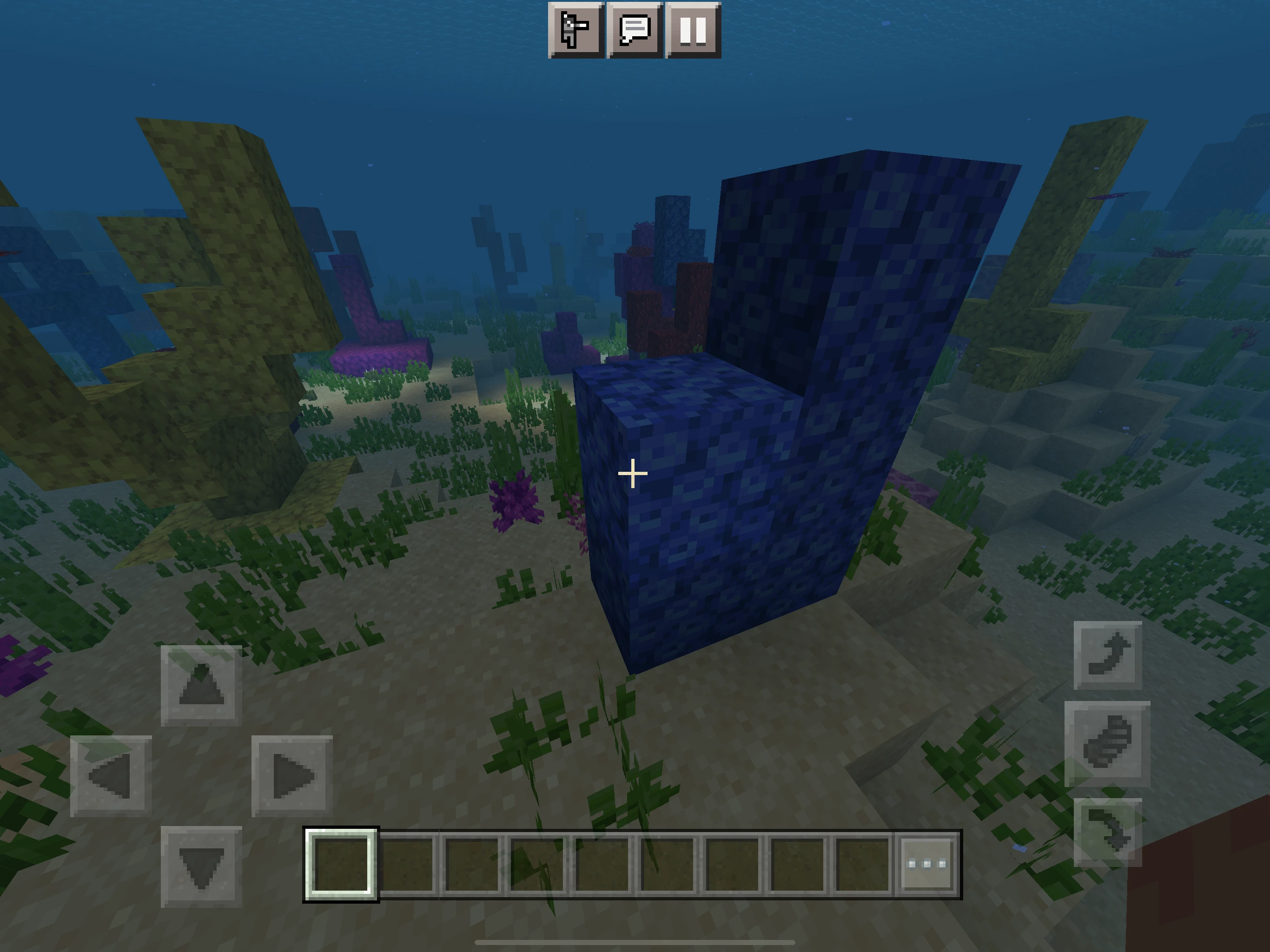 How to get Coral in Minecraft