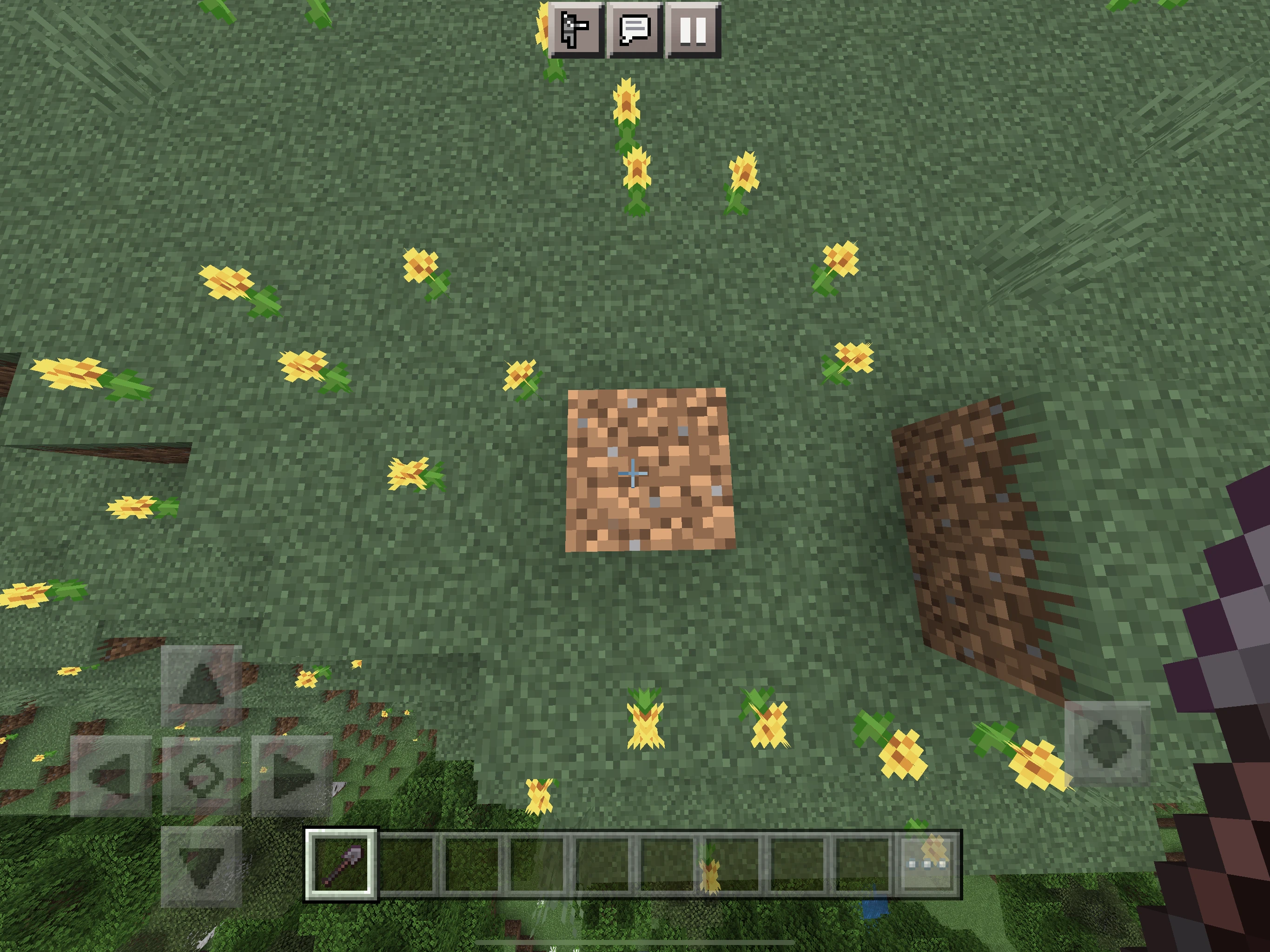 What is a dirt block in Minecraft