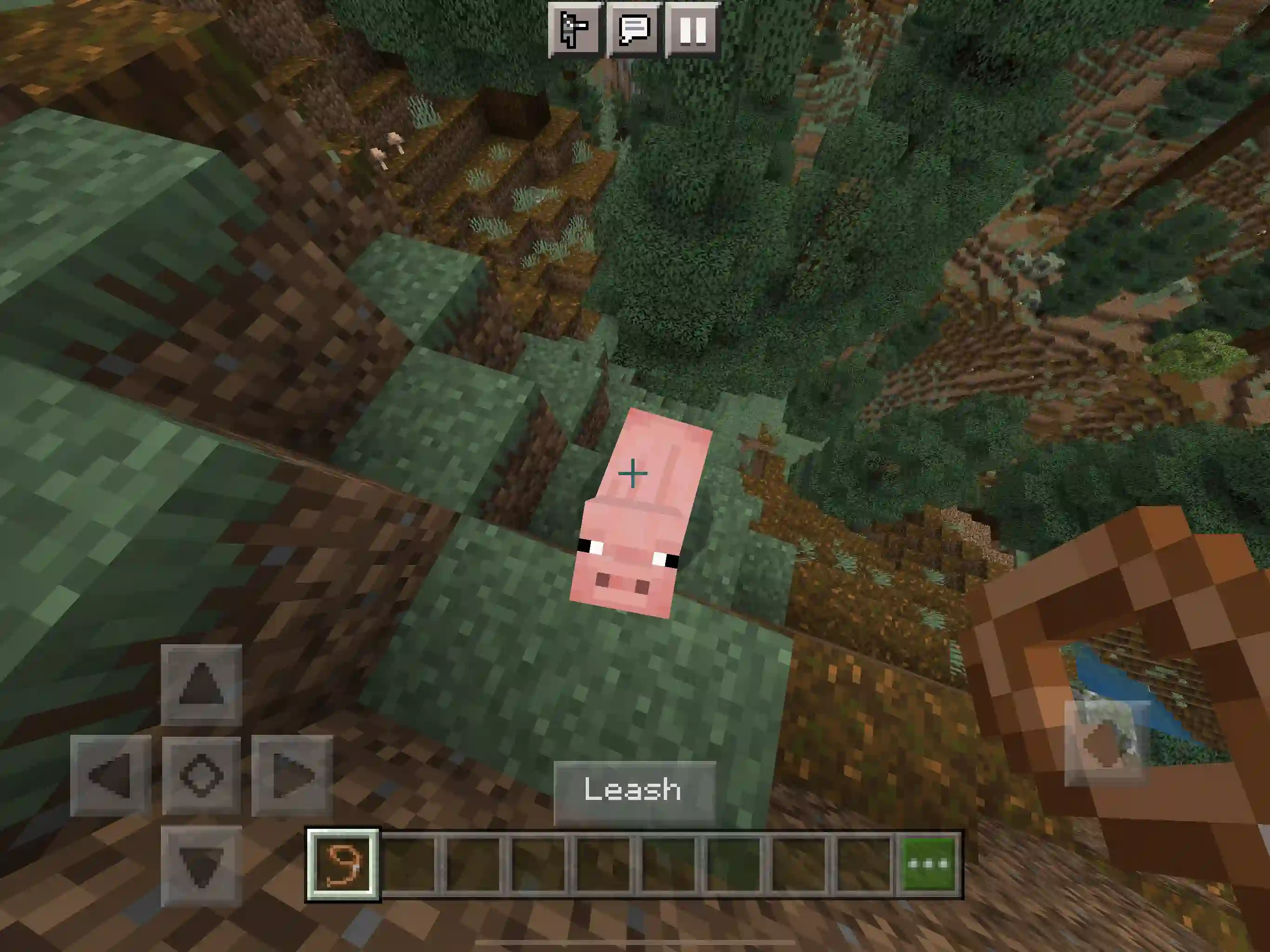 How to get a leash in Minecraft