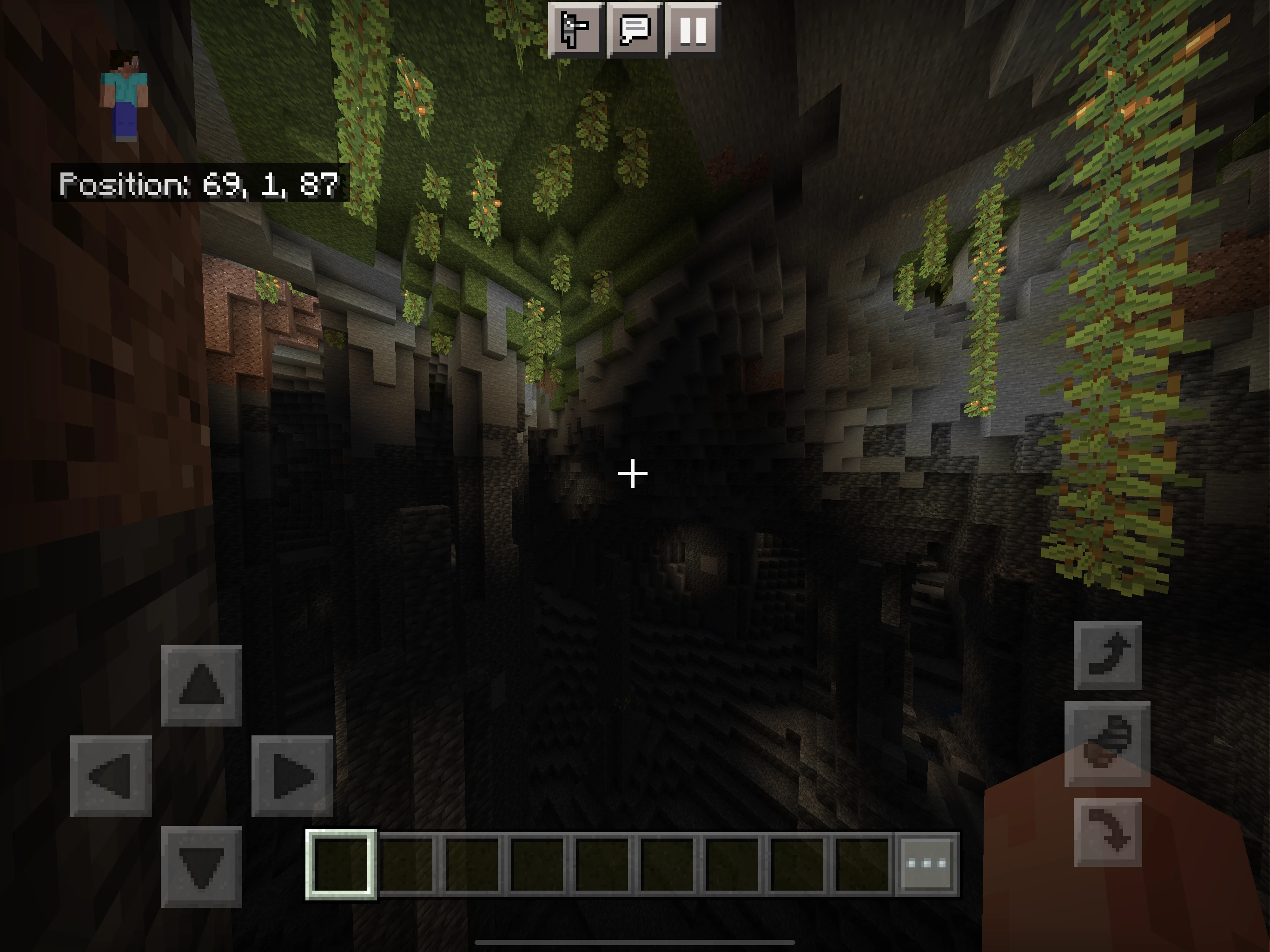 Lush Caves in Minecraft