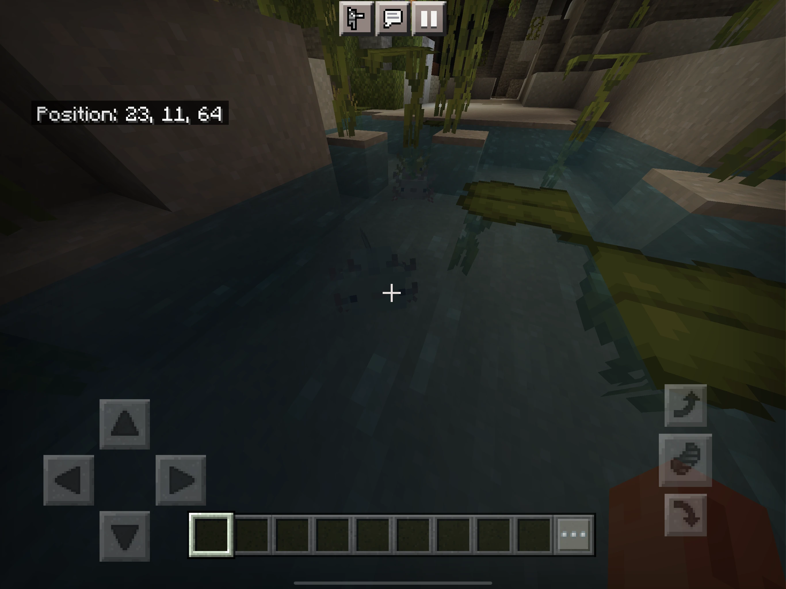 Lush Caves in Minecraft