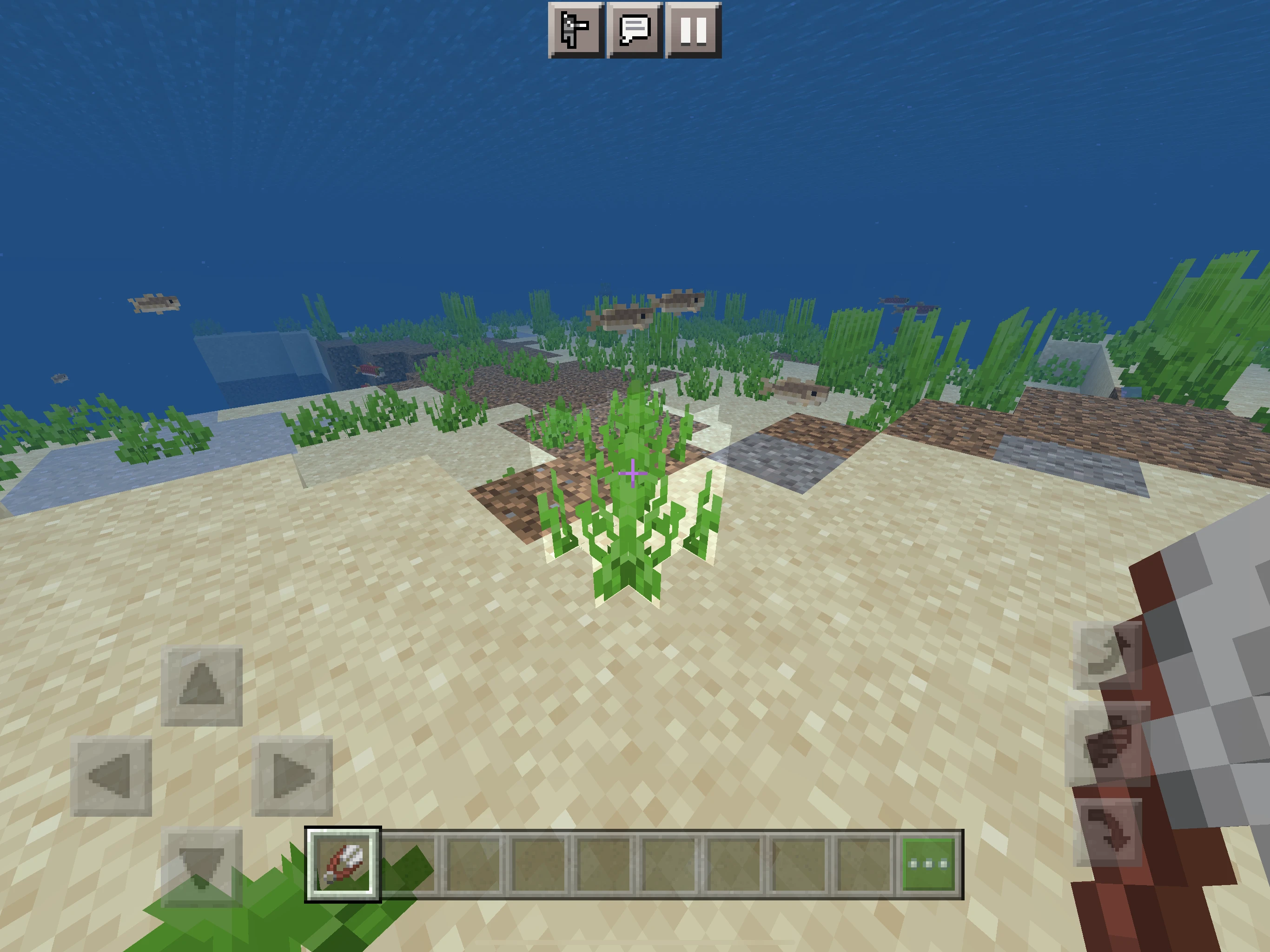 How to get seagrass in Minecraft