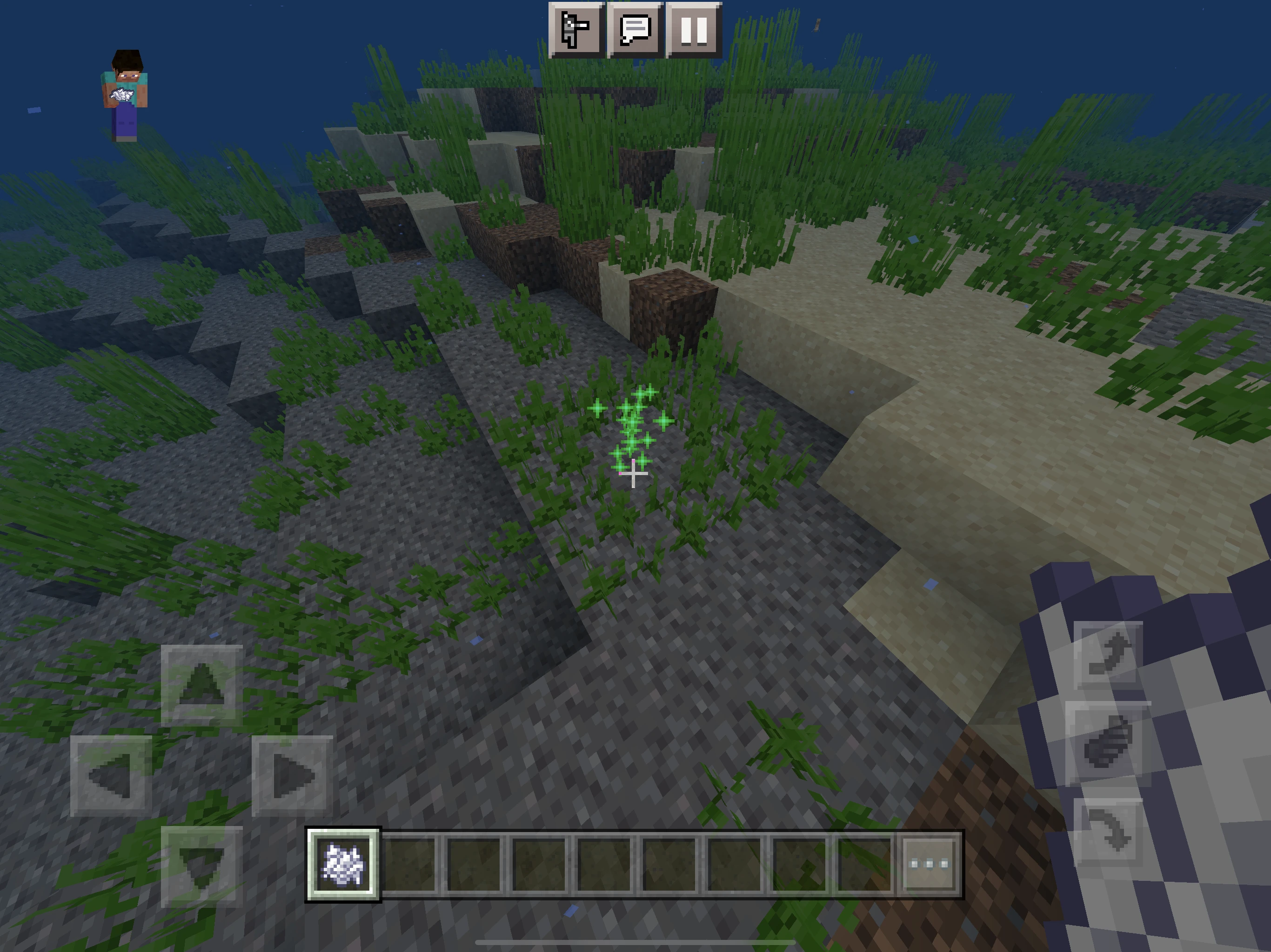 How to get seagrass in Minecraft