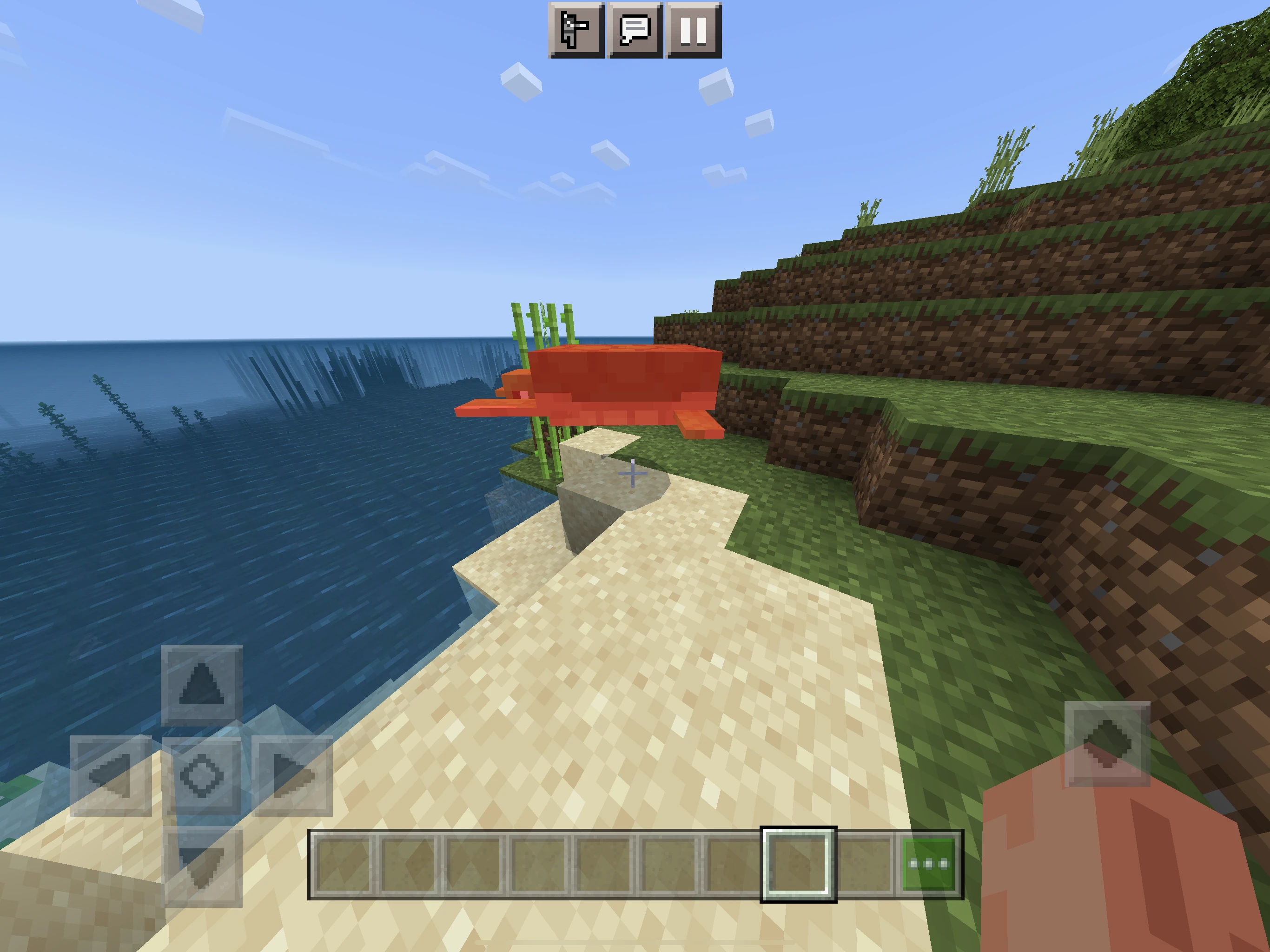 How to get seagrass in Minecraft