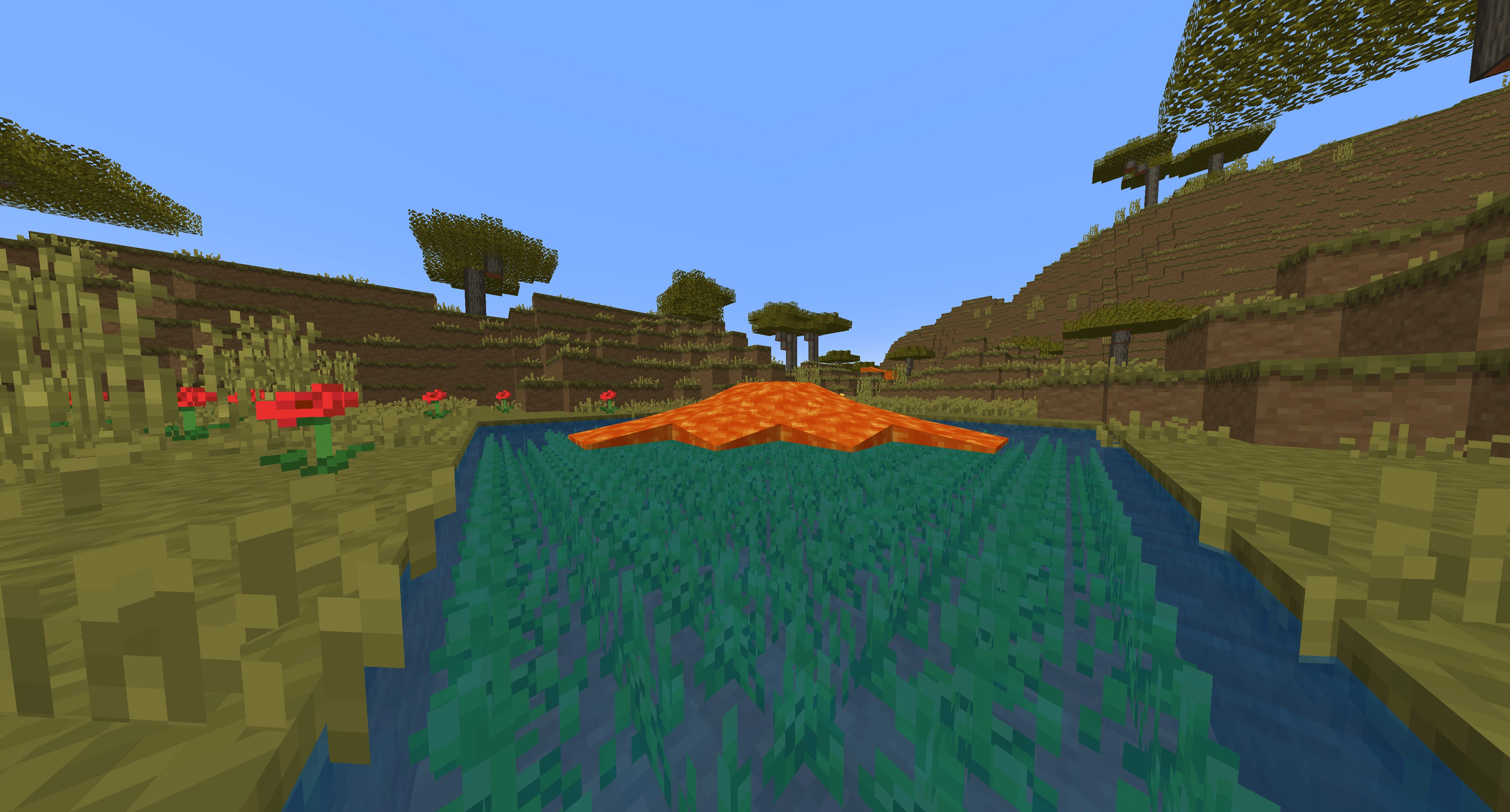 How to get seagrass in Minecraft