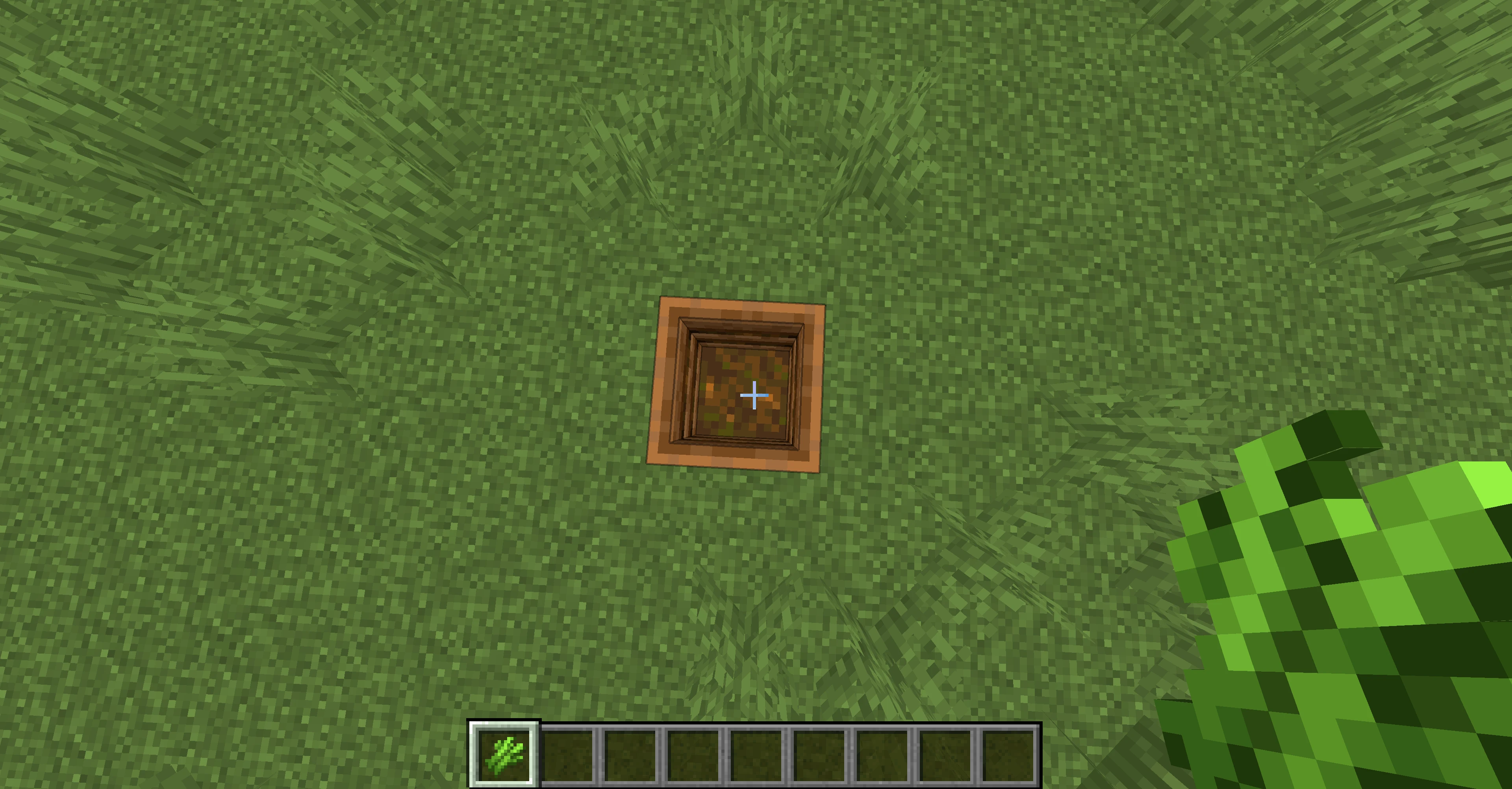 How to plant sugar cane in Minecraft