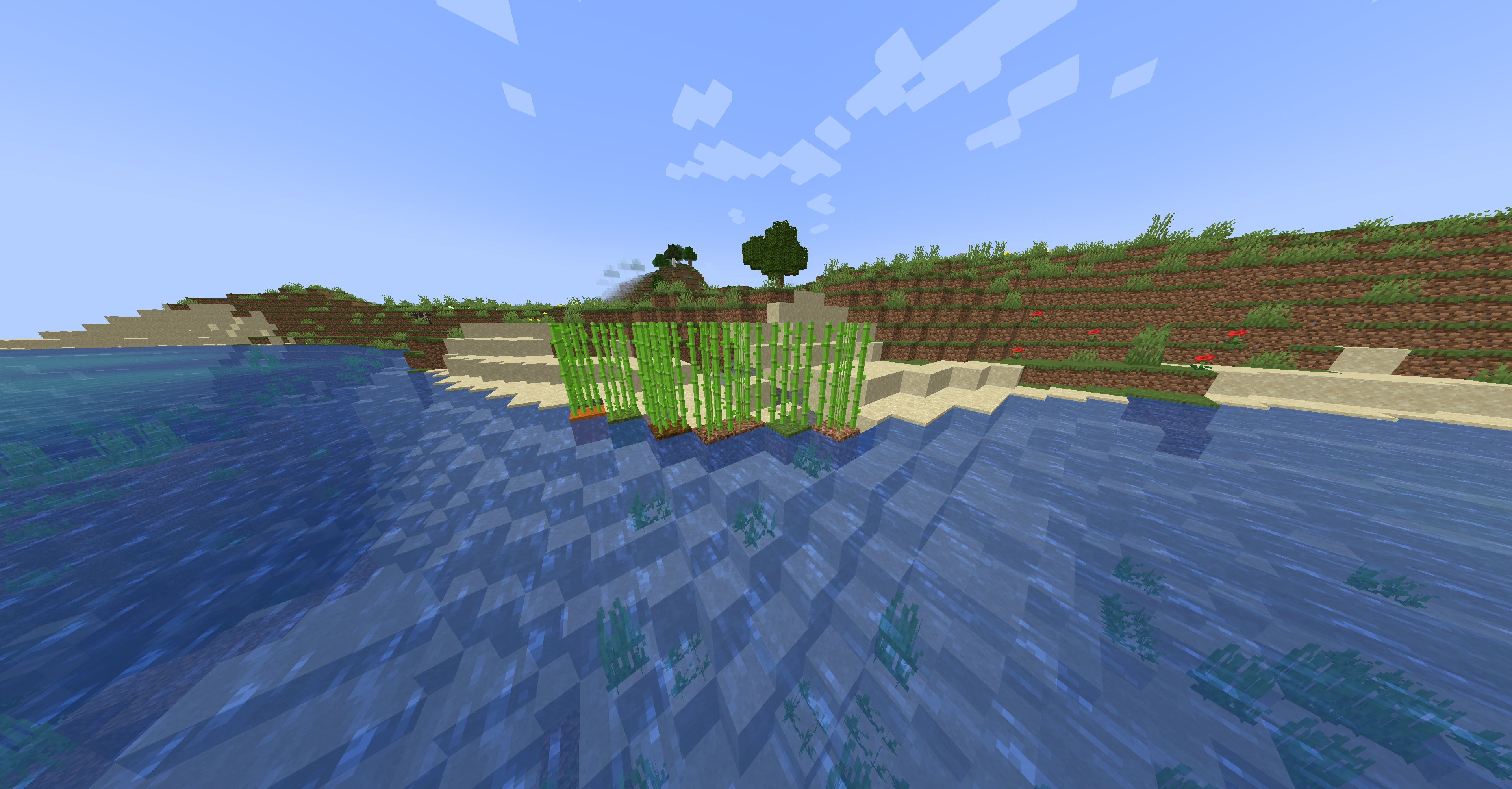 How to plant sugar cane in Minecraft