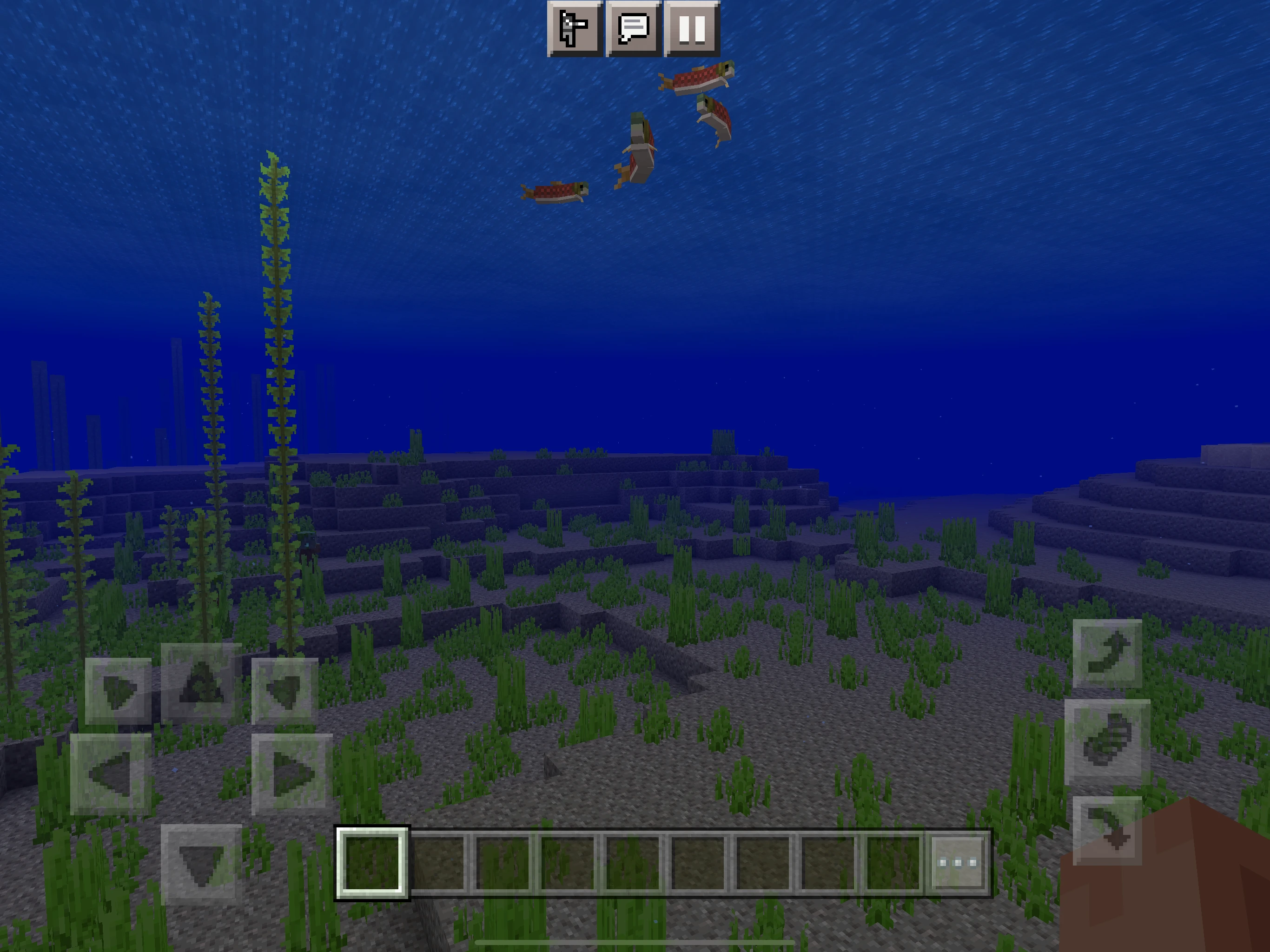 Minecraft Swim