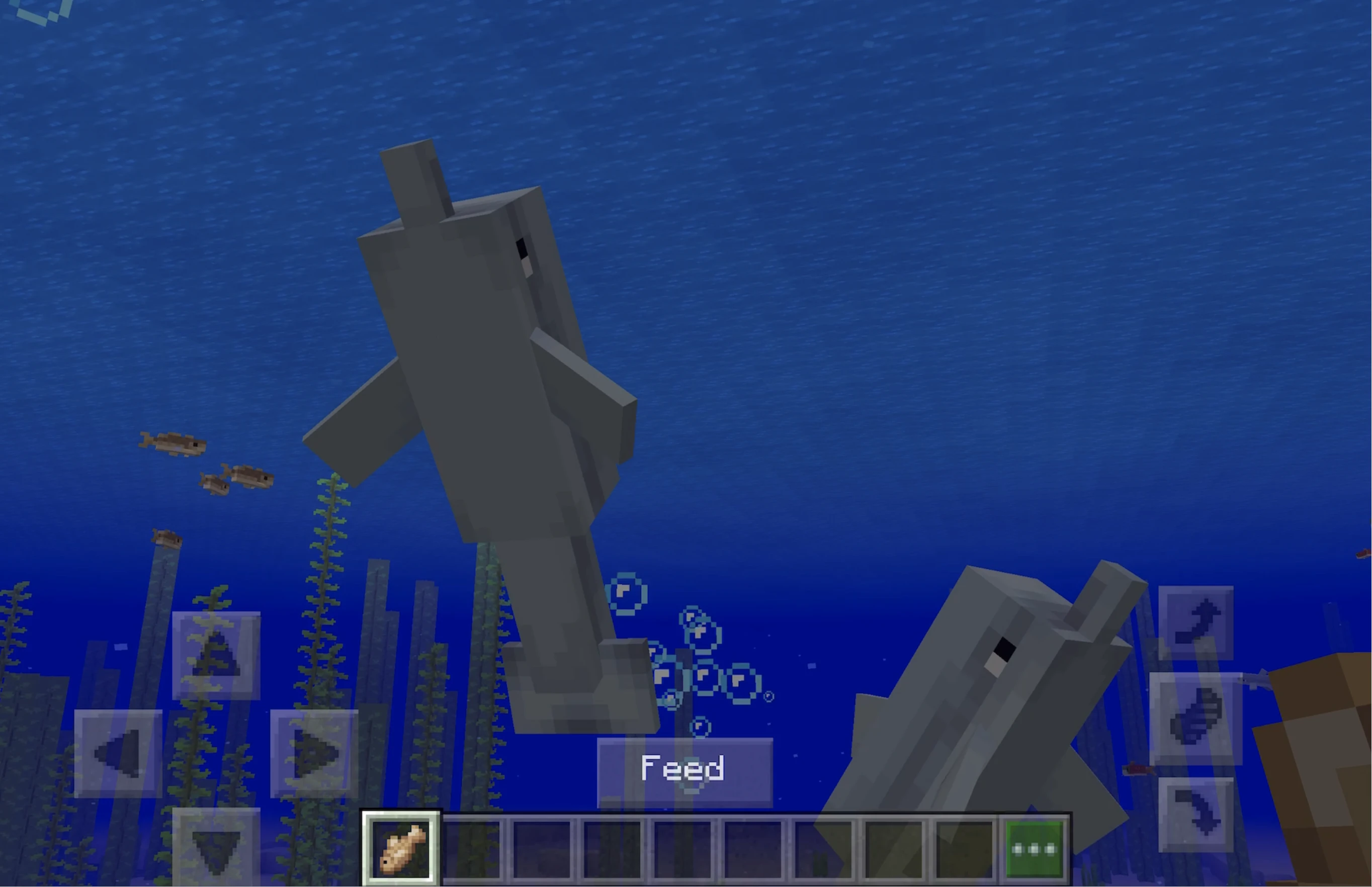 Minecraft Dolphins